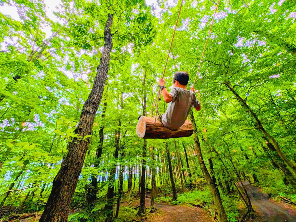 家族でジャイロ