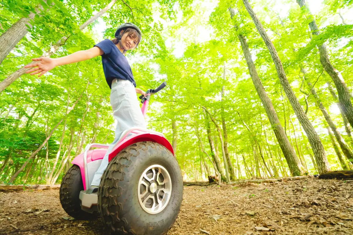 ジャイロライド