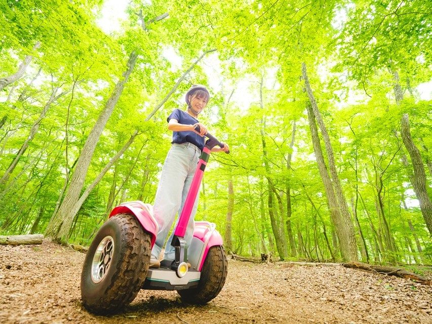 原生林のオフロードコースをジャイロライドで走る